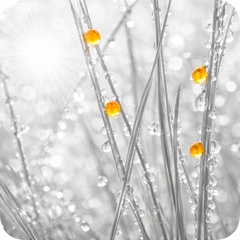 EVA пленочный